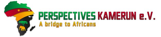 www.perspectives-kamerun.com